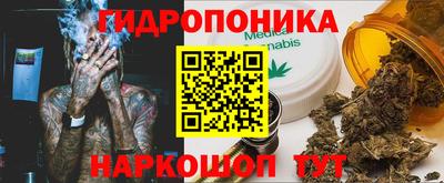 твердый Заводоуковск