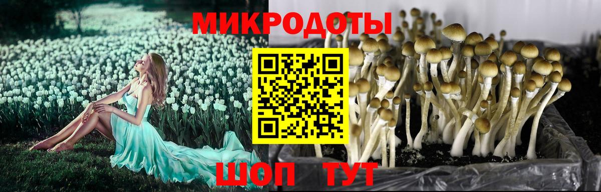 Псилоцибиновые грибы ЛСД Малгобек
