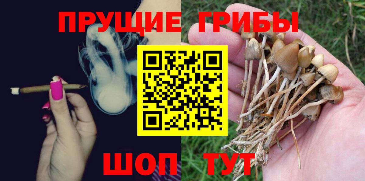 Псилоцибиновые грибы Малгобек
